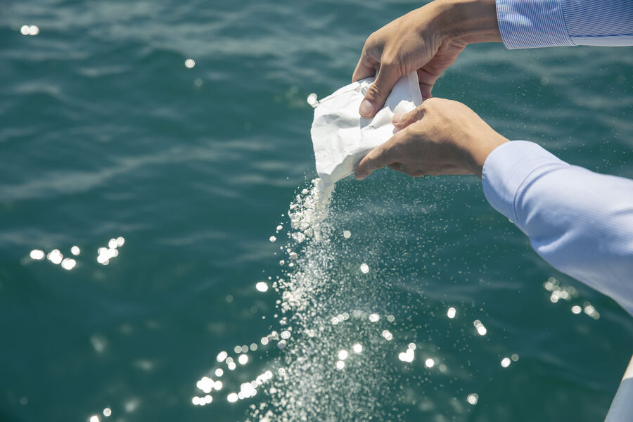 Powdered ashes being returned to the sea