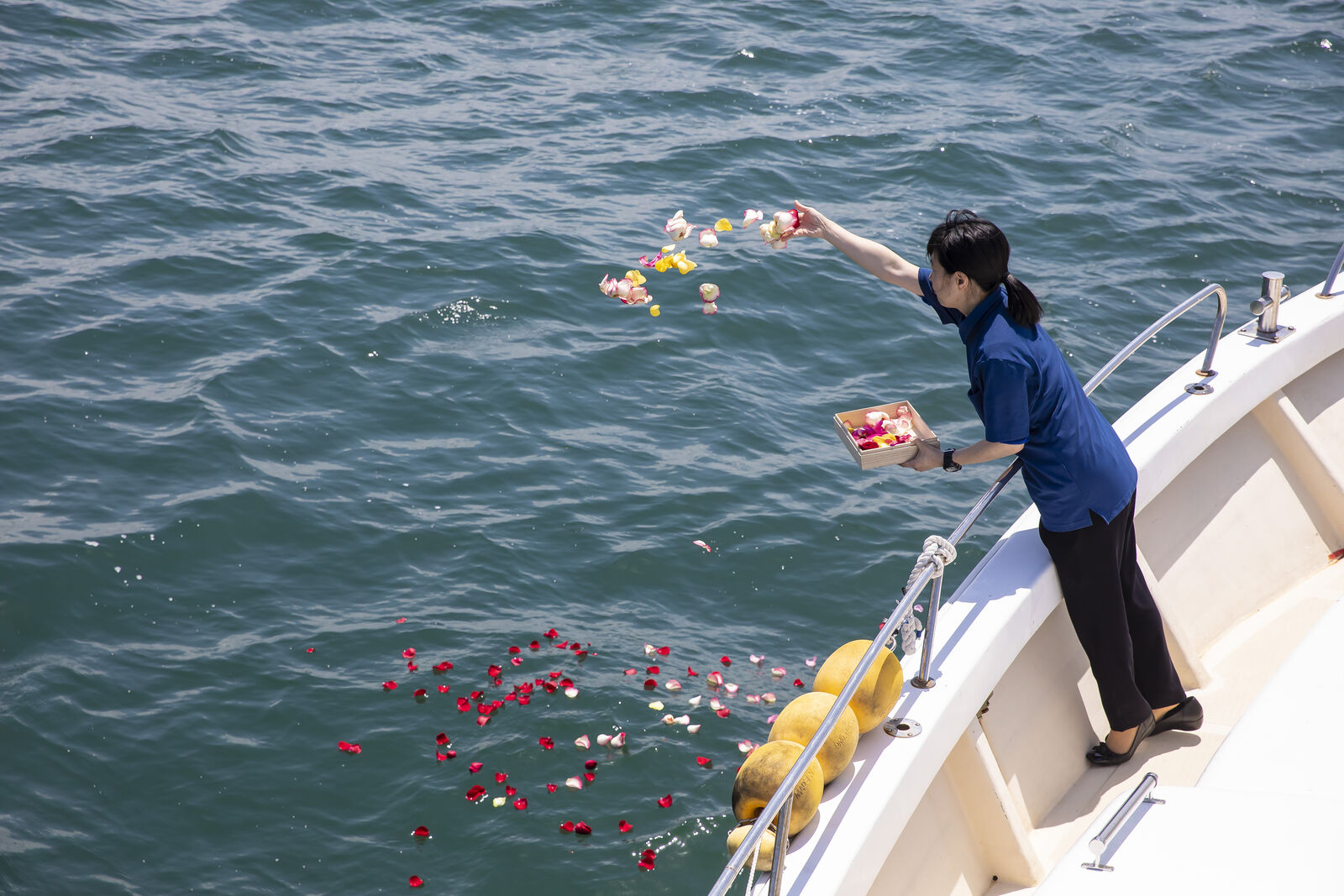 花びらが広がる海へ手を合わせる、海洋散骨セレモニーの様子